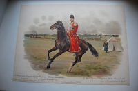 LEmpereur Nicolas Alexandrovitch en Tenue de 10 Regiments dont sa Majeste est Chef.