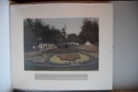 A corner of the Central Park of Culture and Rest named after Gorky.