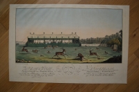 Ansicht der grossen Hipsch-Tag welche zu Ehren T.T.M.M. der Kaiser Alexander und Napoleon von S.D. dem Herzoge zu Sachsen-Weimar am 6. Oct. 1808 auf dem Ettersberge bey Weimar gegeben wurde.